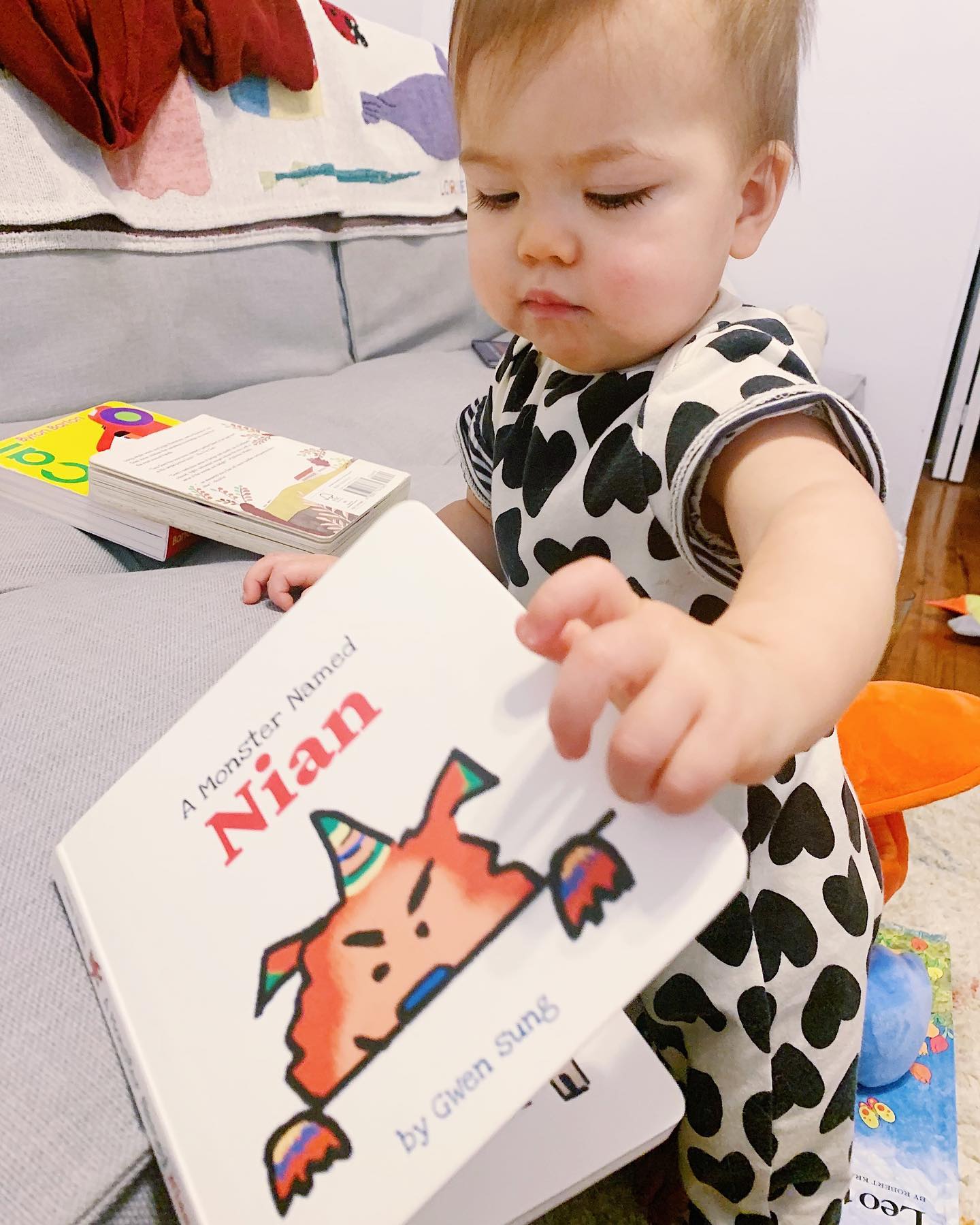 A Monster Named Nian Board Book